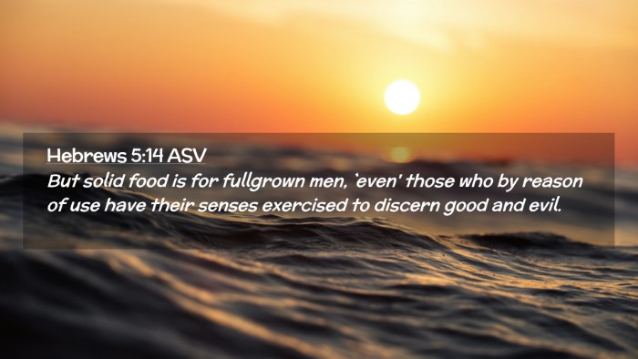 Picture 02 - Hebrews 5:14 ASV Desktop Wallpaper - But solid food is for fullgrown men, `even' those - Desktop Bible Verse Wallpaper