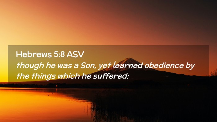 Picture 02 - Hebrews 5:8 ASV Desktop Wallpaper - though he was a Son, yet learned obedience by the - Desktop Bible Verse Wallpaper