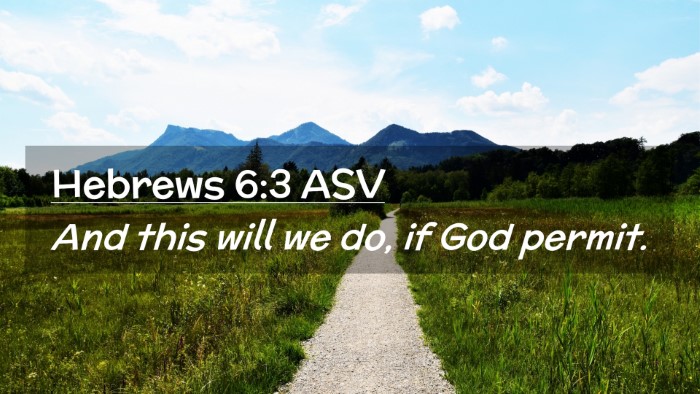 Picture 02 - Hebrews 6:3 ASV Desktop Wallpaper - And this will we do, if God - Desktop Bible Verse Wallpaper