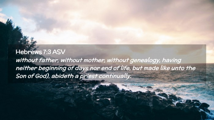 Picture 02 - Hebrews 7:3 ASV Desktop Wallpaper - without father, without mother, without - Desktop Bible Verse Wallpaper