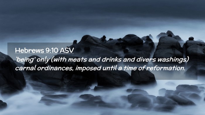Picture 02 - Hebrews 9:10 ASV Desktop Wallpaper - `being' only (with meats and drinks and divers - Desktop Bible Verse Wallpaper