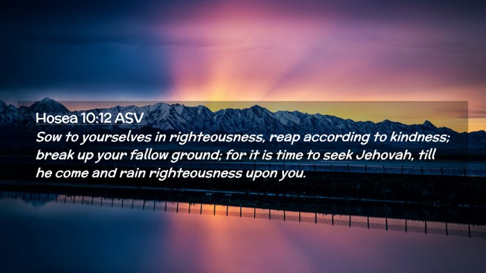 Picture 02 - Hosea 10:12 ASV Desktop Wallpaper - Sow to yourselves in righteousness, reap - Desktop Bible Verse Wallpaper