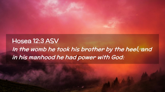 Picture 02 - Hosea 12:3 ASV Desktop Wallpaper - In the womb he took his brother by the heel; and - Desktop Bible Verse Wallpaper