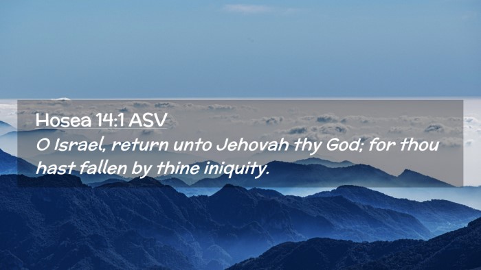 Picture 02 - Hosea 14:1 ASV Desktop Wallpaper - O Israel, return unto Jehovah thy God; for thou - Desktop Bible Verse Wallpaper