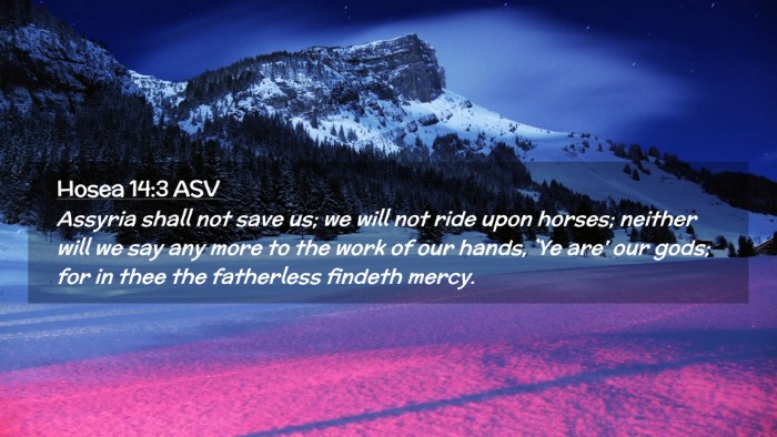Picture 02 - Hosea 14:3 ASV Desktop Wallpaper - Assyria shall not save us; we will not ride upon - Desktop Bible Verse Wallpaper