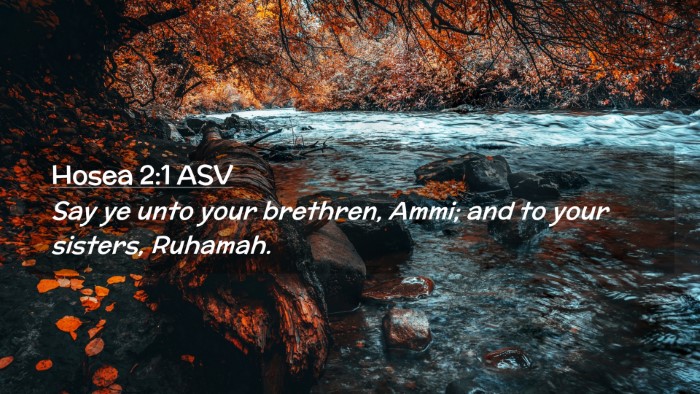 Picture 02 - Hosea 2:1 ASV Desktop Wallpaper - Say ye unto your brethren, Ammi; and to your - Desktop Bible Verse Wallpaper