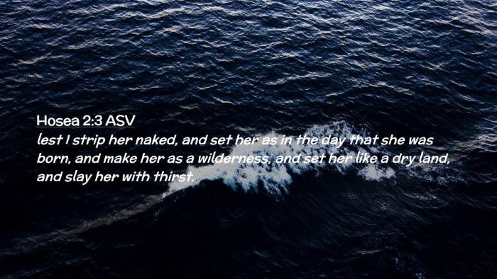 Picture 02 - Hosea 2:3 ASV Desktop Wallpaper - lest I strip her naked, and set her as in the day - Desktop Bible Verse Wallpaper