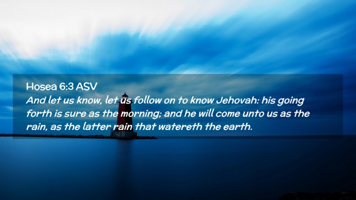 Picture 02 - Hosea 6:3 ASV Desktop Wallpaper - And let us know, let us follow on to know - Desktop Bible Verse Wallpaper