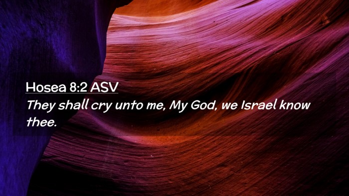 Picture 02 - Hosea 8:2 ASV Desktop Wallpaper - They shall cry unto me, My God, we Israel know - Desktop Bible Verse Wallpaper