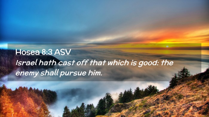 Picture 02 - Hosea 8:3 ASV Desktop Wallpaper - Israel hath cast off that which is good: the - Desktop Bible Verse Wallpaper