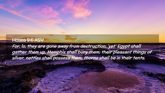 Picture 02 - Hosea 9:6 ASV Desktop Wallpaper - For, lo, they are gone away from destruction; - Desktop Bible Verse Wallpaper