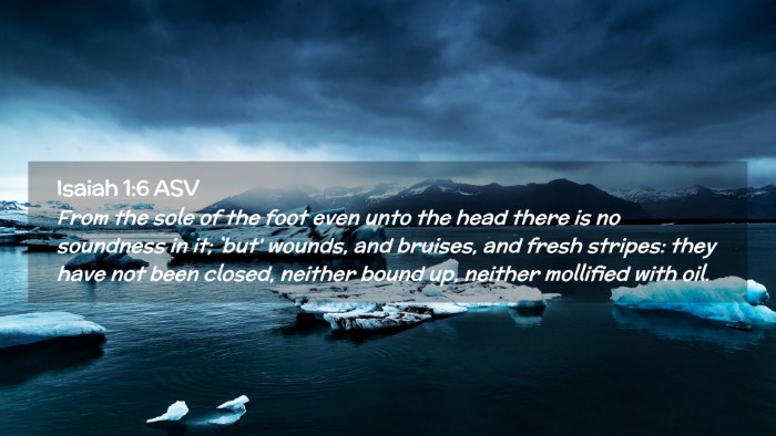 Picture 02 - Isaiah 1:6 ASV Desktop Wallpaper - From the sole of the foot even unto the head - Desktop Bible Verse Wallpaper