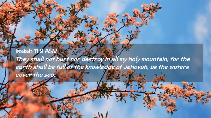 Picture 02 - Isaiah 11:9 ASV Desktop Wallpaper - They shall not hurt nor destroy in all my holy - Desktop Bible Verse Wallpaper