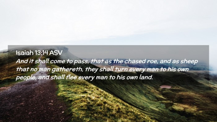 Picture 02 - Isaiah 13:14 ASV Desktop Wallpaper - And it shall come to pass, that as the chased - Desktop Bible Verse Wallpaper