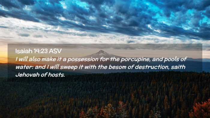Picture 02 - Isaiah 14:23 ASV Desktop Wallpaper - I will also make it a possession for the - Desktop Bible Verse Wallpaper