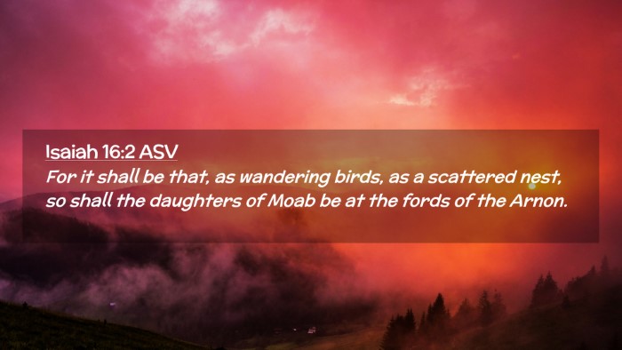 Picture 02 - Isaiah 16:2 ASV Desktop Wallpaper - For it shall be that, as wandering birds, as a - Desktop Bible Verse Wallpaper