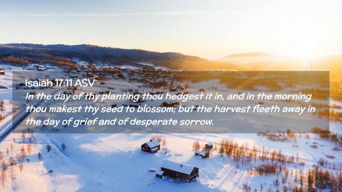 Picture 02 - Isaiah 17:11 ASV Desktop Wallpaper - In the day of thy planting thou hedgest it in, - Desktop Bible Verse Wallpaper