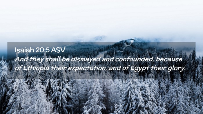 Picture 02 - Isaiah 20:5 ASV Desktop Wallpaper - And they shall be dismayed and confounded, - Desktop Bible Verse Wallpaper