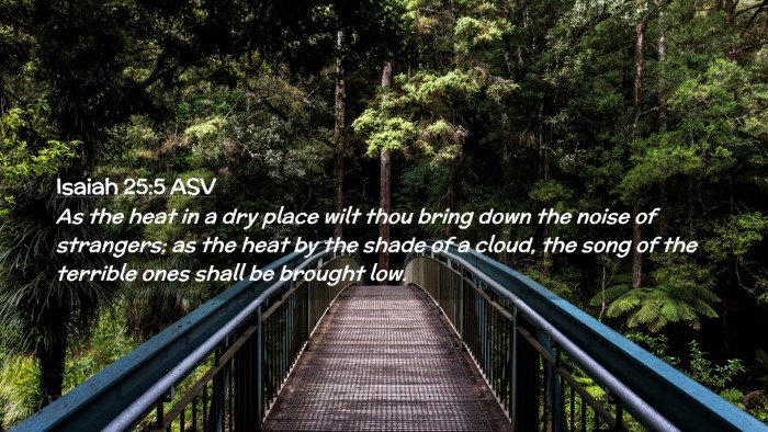 Picture 02 - Isaiah 25:5 ASV Desktop Wallpaper - As the heat in a dry place wilt thou bring down - Desktop Bible Verse Wallpaper
