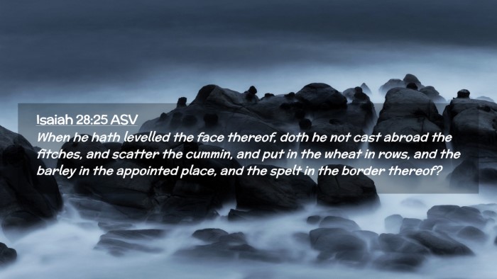 Picture 02 - Isaiah 28:25 ASV Desktop Wallpaper - When he hath levelled the face thereof, doth he - Desktop Bible Verse Wallpaper