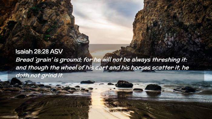 Picture 02 - Isaiah 28:28 ASV Desktop Wallpaper - Bread `grain' is ground; for he will not be - Desktop Bible Verse Wallpaper