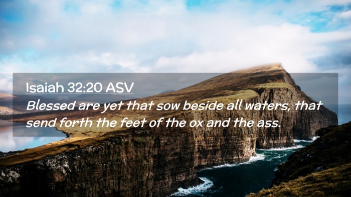 Picture 02 - Isaiah 32:20 ASV Desktop Wallpaper - Blessed are yet that sow beside all waters, that - Desktop Bible Verse Wallpaper