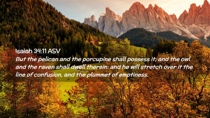 Picture 02 - Isaiah 34:11 ASV Desktop Wallpaper - But the pelican and the porcupine shall possess - Desktop Bible Verse Wallpaper