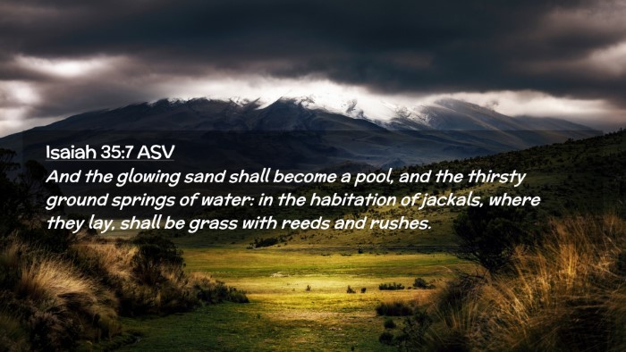 Picture 02 - Isaiah 35:7 ASV Desktop Wallpaper - And the glowing sand shall become a pool, and the - Desktop Bible Verse Wallpaper