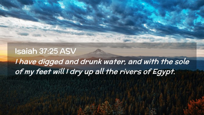 Picture 02 - Isaiah 37:25 ASV Desktop Wallpaper - I have digged and drunk water, and with the sole - Desktop Bible Verse Wallpaper