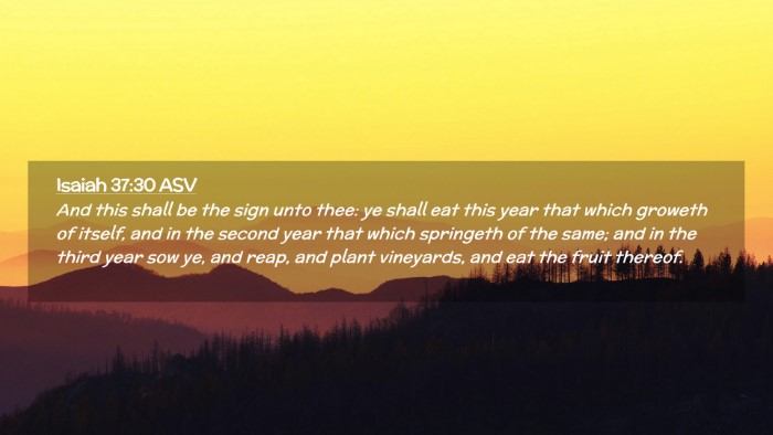 Picture 02 - Isaiah 37:30 ASV Desktop Wallpaper - And this shall be the sign unto thee: ye shall - Desktop Bible Verse Wallpaper