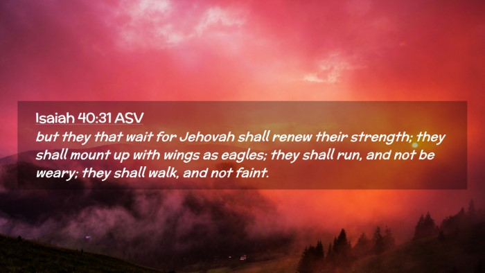 Picture 02 - Isaiah 40:31 ASV Desktop Wallpaper - but they that wait for Jehovah shall renew their - Desktop Bible Verse Wallpaper