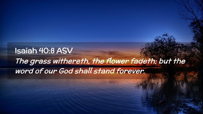 Picture 02 - Isaiah 40:8 ASV Desktop Wallpaper - The grass withereth, the flower fadeth; but the - Desktop Bible Verse Wallpaper