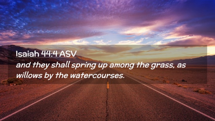 Picture 02 - Isaiah 44:4 ASV Desktop Wallpaper - and they shall spring up among the grass, as - Desktop Bible Verse Wallpaper