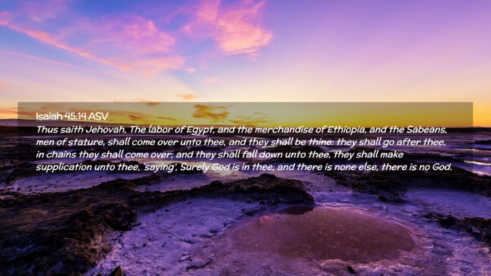 Picture 02 - Isaiah 45:14 ASV Desktop Wallpaper - Thus saith Jehovah, The labor of Egypt, and the - Desktop Bible Verse Wallpaper