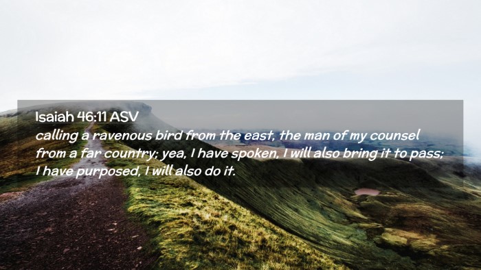 Picture 02 - Isaiah 46:11 ASV Desktop Wallpaper - calling a ravenous bird from the east, the man of - Desktop Bible Verse Wallpaper