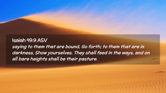 Picture 02 - Isaiah 49:9 ASV Desktop Wallpaper - saying to them that are bound, Go forth; to them - Desktop Bible Verse Wallpaper