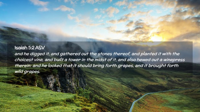 Picture 02 - Isaiah 5:2 ASV Desktop Wallpaper - and he digged it, and gathered out the stones - Desktop Bible Verse Wallpaper