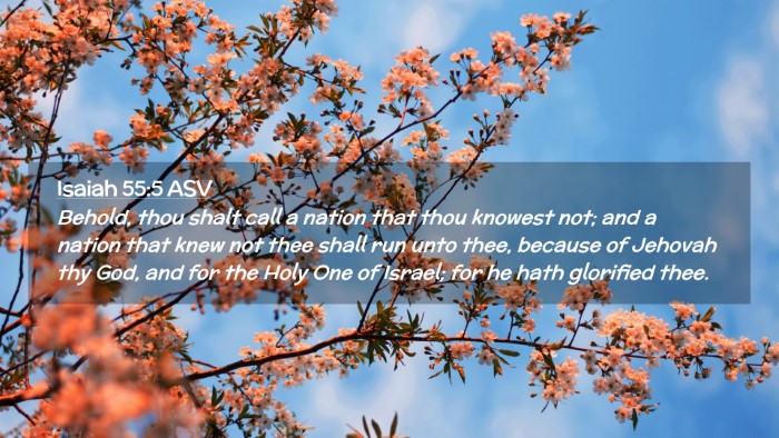 Picture 02 - Isaiah 55:5 ASV Desktop Wallpaper - Behold, thou shalt call a nation that thou - Desktop Bible Verse Wallpaper