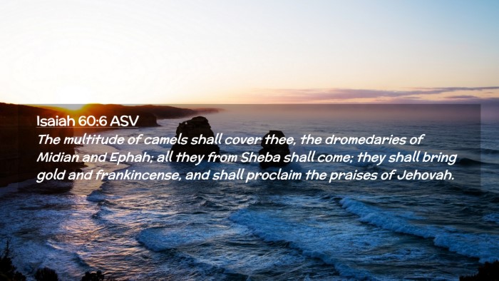 Picture 02 - Isaiah 60:6 ASV Desktop Wallpaper - The multitude of camels shall cover thee, the - Desktop Bible Verse Wallpaper