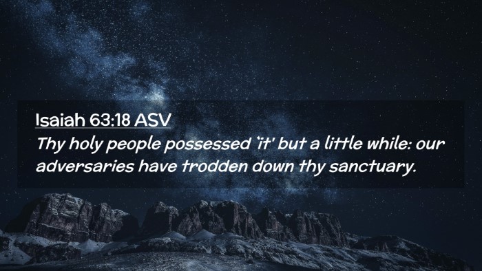 Picture 02 - Isaiah 63:18 ASV Desktop Wallpaper - Thy holy people possessed `it' but a little - Desktop Bible Verse Wallpaper