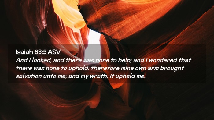 Picture 02 - Isaiah 63:5 ASV Desktop Wallpaper - And I looked, and there was none to help; and I - Desktop Bible Verse Wallpaper