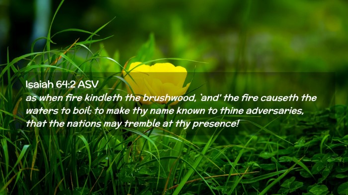 Picture 02 - Isaiah 64:2 ASV Desktop Wallpaper - as when fire kindleth the brushwood, `and' the - Desktop Bible Verse Wallpaper