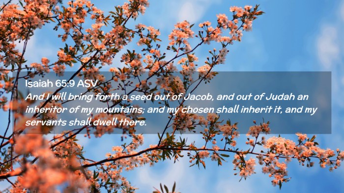 Picture 02 - Isaiah 65:9 ASV Desktop Wallpaper - And I will bring forth a seed out of Jacob, and - Desktop Bible Verse Wallpaper