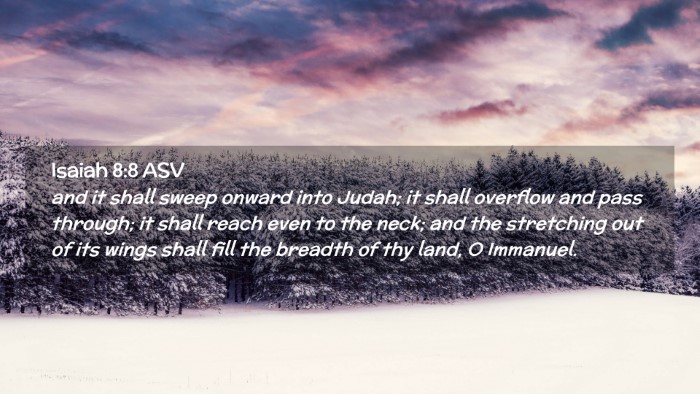 Picture 02 - Isaiah 8:8 ASV Desktop Wallpaper - and it shall sweep onward into Judah; it shall - Desktop Bible Verse Wallpaper