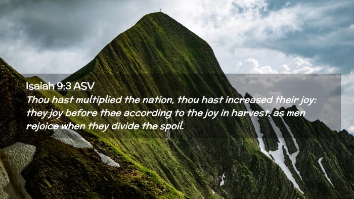 Picture 02 - Isaiah 9:3 ASV Desktop Wallpaper - Thou hast multiplied the nation, thou hast - Desktop Bible Verse Wallpaper