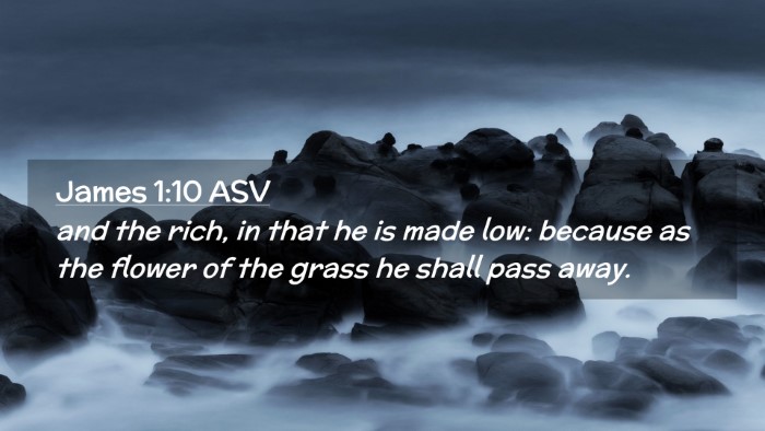 Picture 02 - James 1:10 ASV Desktop Wallpaper - and the rich, in that he is made low: because as - Desktop Bible Verse Wallpaper
