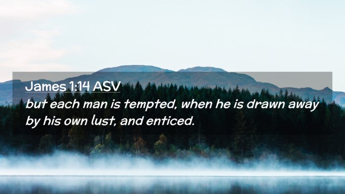 Picture 02 - James 1:14 ASV Desktop Wallpaper - but each man is tempted, when he is drawn away by - Desktop Bible Verse Wallpaper