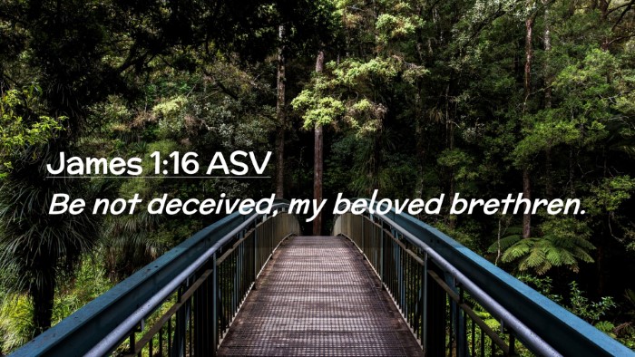 Picture 02 - James 1:16 ASV Desktop Wallpaper - Be not deceived, my beloved - Desktop Bible Verse Wallpaper