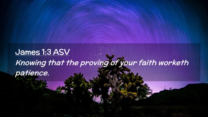 Picture 02 - James 1:3 ASV Desktop Wallpaper - Knowing that the proving of your faith worketh - Desktop Bible Verse Wallpaper