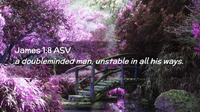 Picture 02 - James 1:8 ASV Desktop Wallpaper - a doubleminded man, unstable in all his - Desktop Bible Verse Wallpaper